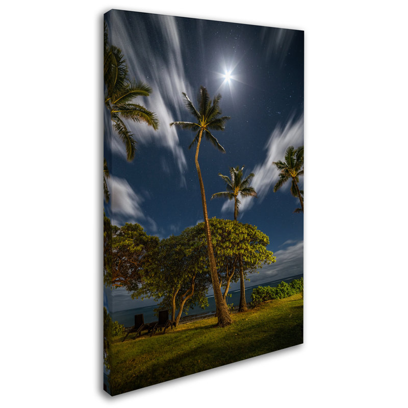 Gold Framed Moonlit Palm Trees Landscape Canvas Art