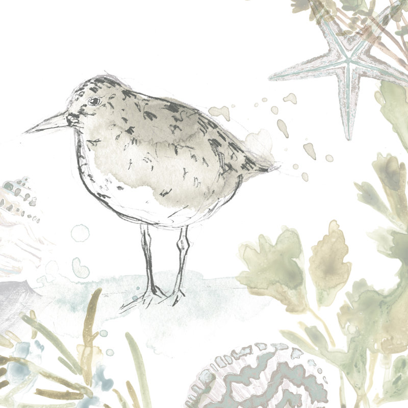Seaside Sandpipers IV by June Erica Vess - Wrapped Canvas Painting, 76cm H x 76cm W x 3.8cm D