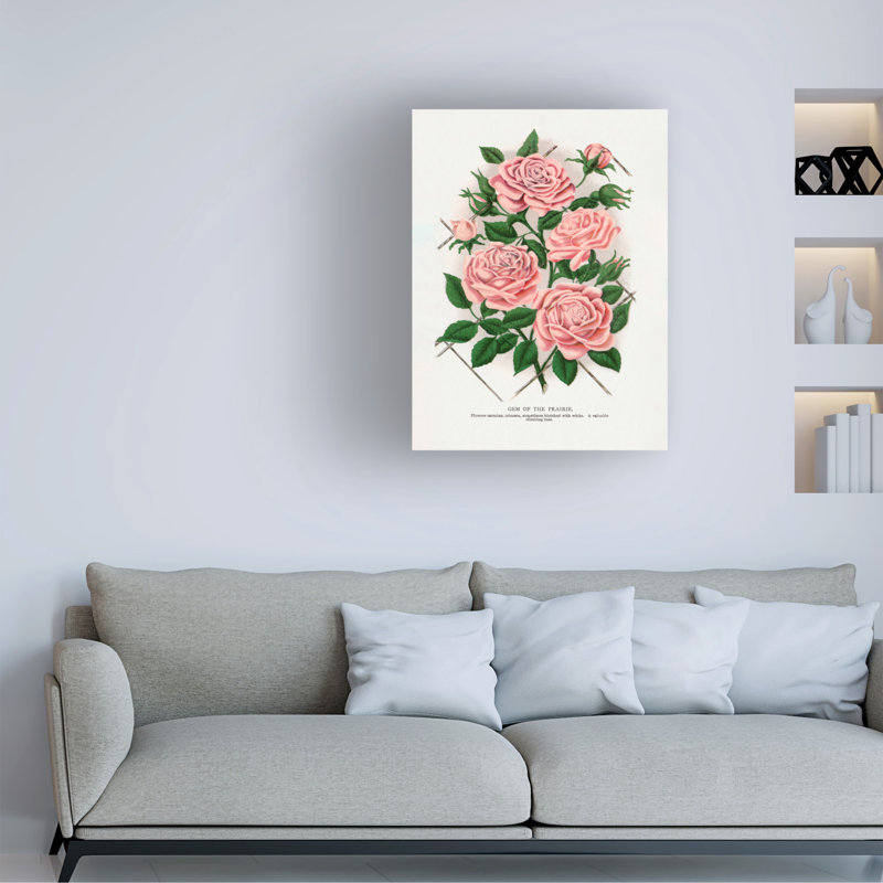 Reproduction d'art sur toile, "Rose", H 19 po x l 14 po