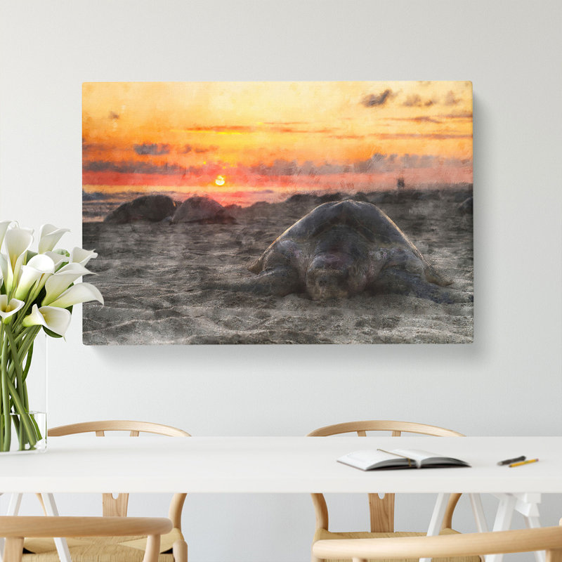 Turtle Beach - Wrapped Canvas Print, 50cm H x 76cm W x 3cm D