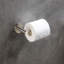 Circular Wall Mounted Toilet Paper Holder-53162888