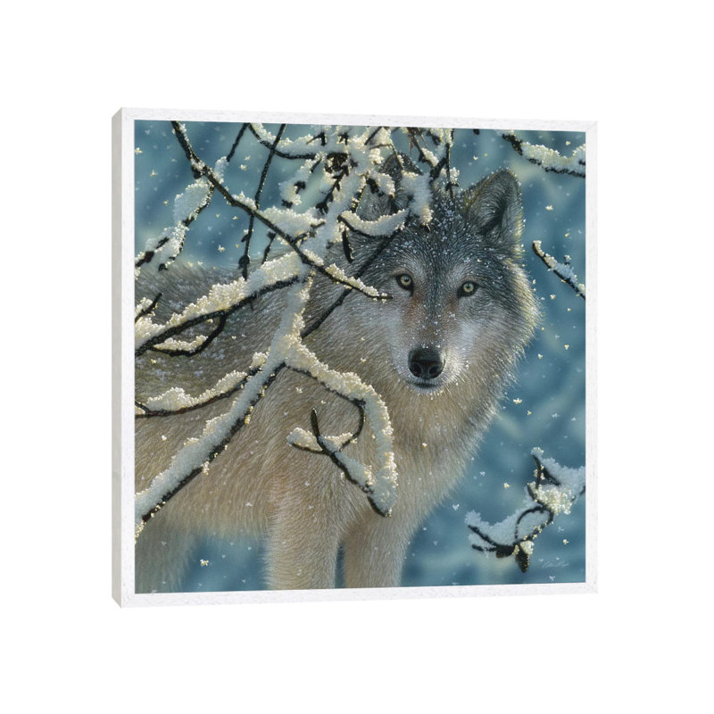 Broken Silence - Grey Wolf, Square 1 Piece Wall Art on Canvas, 66.04 cm H x 66.04 cm W, White Framed Canvas