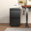 Armoire de classement en métal à 2 tiroirs avec serrure de 14,6 po Mak Peace-114283649