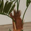 Palmier kentia artificiel en pot