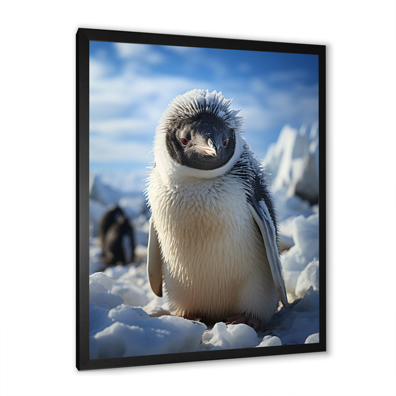 «Ivola Penguin Adorable Penguin II», reproduction sur toile, Cadre photo noir, H 20 po x l 12 po x P 1 po
