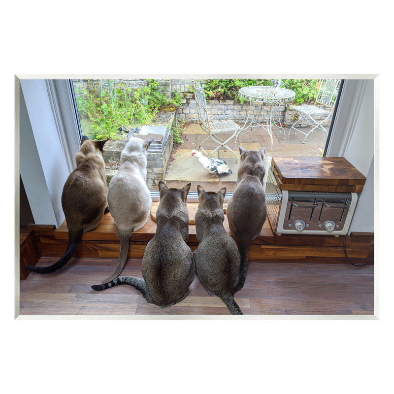 Ba-357-Chats en bois regardant un oiseau à la fenêtre par Beth Noble, H 10 po x l 15 po x P 0,5 po