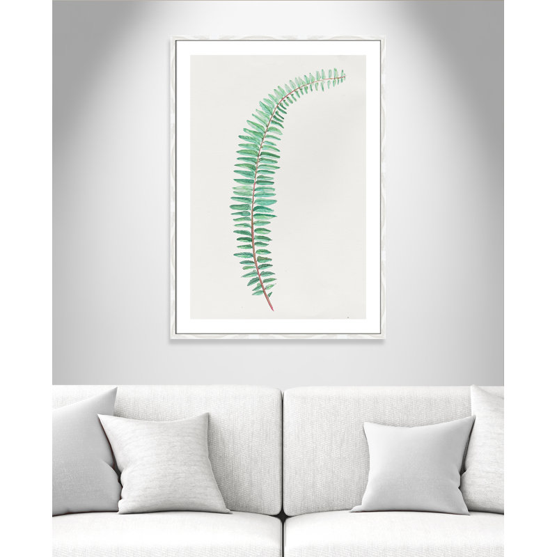 Delicate Botanical II '- Reproduction d'art sur papier encadrée, Cadre à grain de bois blanc