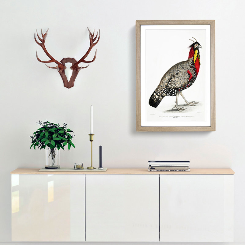 Horned Pheasant by John Edward Gray - Picture Frame Painting Print, 36cm H x 27cm W x 2cm D, Oak Framed