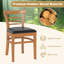  Ensemble de 4 chaises de cuisine rembourrées avec pieds en bois d'hévéa Modern-2003479224-2003479226