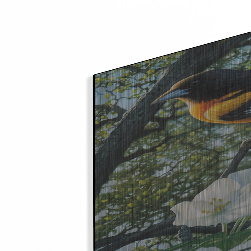 «Midmorn Breeze - Baltimore Oriole» par Mark Mueller, art animalier mural en métal, H 36 po x l 24 po