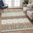 Machine Washable Indoor/Outdoor Chantille ACN2662 Stripes Rug-930005162-930005165