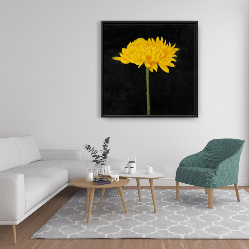 " Chrysanthemum "