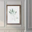 « simple sage ii »-cadre photo imprimé sur verre-1626722279-1626722276