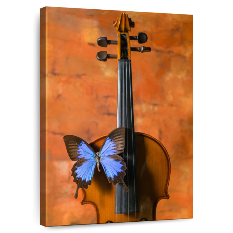 Papillon violon, H 36 po x l 24 po