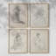 Croquis rétro Lxxiv, reproduction encadrée - ensemble de 4-415492794