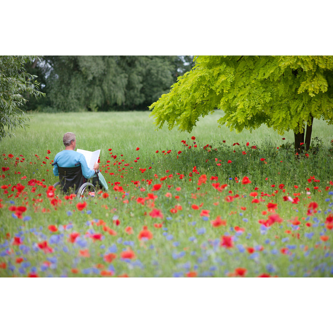 Älterer Mann sitzt auf einer Wiese