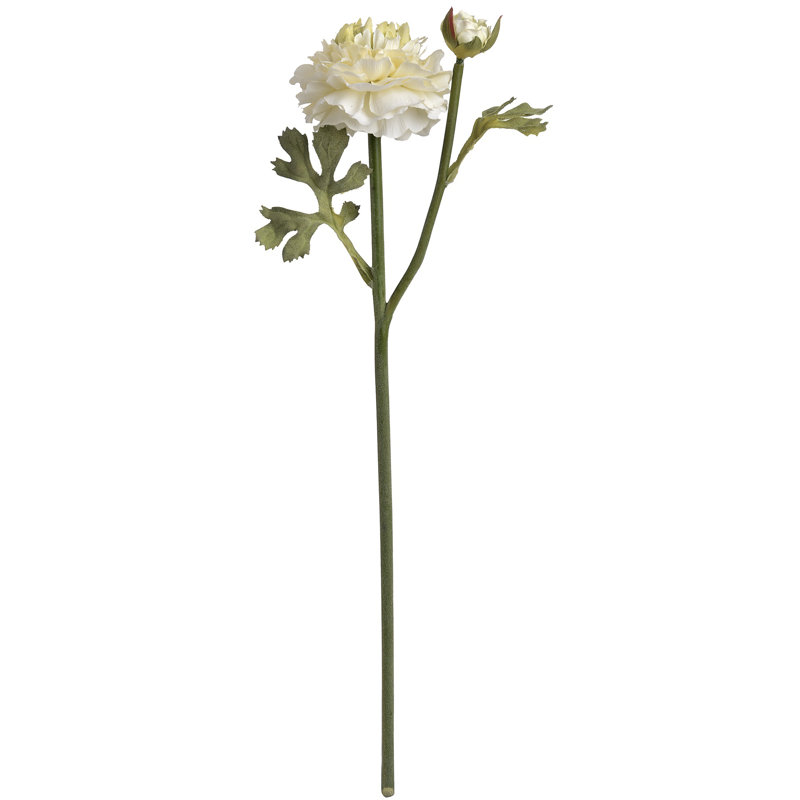 Arrangement