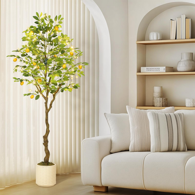 183cm Plant