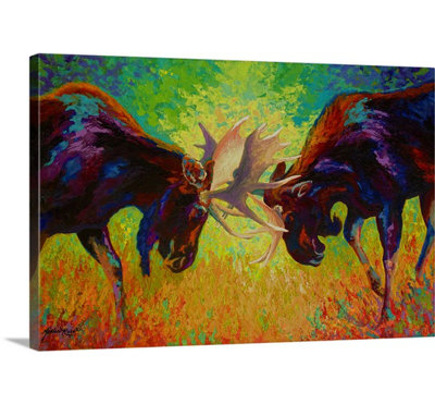 Clodagh " Just Sparring Moose " by Marion Rose