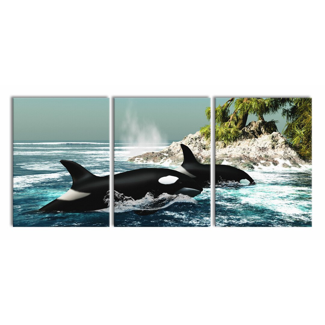 3-tlg. Leinwandbilder-Set Orcas vor Insel