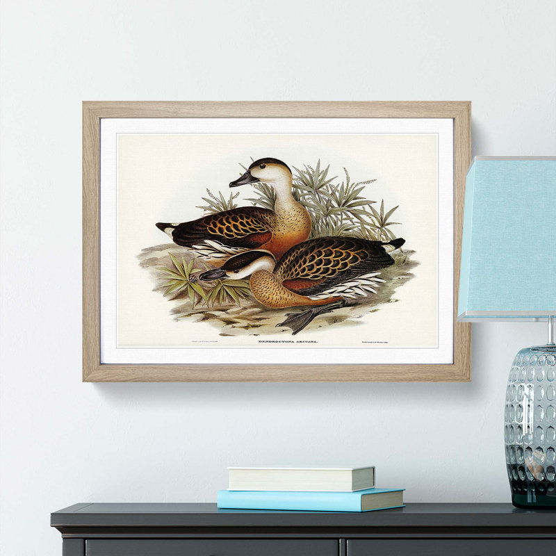 Whistling Ducks by Elizabeth Gould - Picture Frame Painting Print, 36cm H x 48cm W x 2cm D, Oak Framed