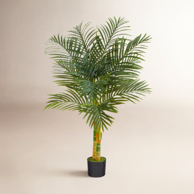 72" Palm Tree in Planter