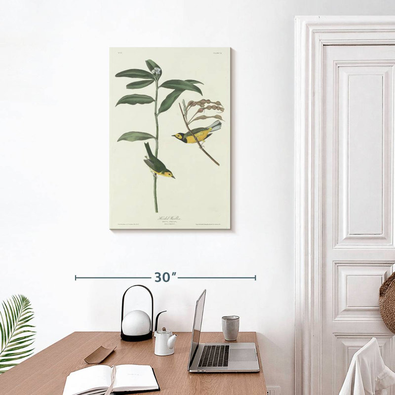 Keiri Hooded Warbler, 30" H x 20" W