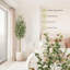 Olive artificielle en pot blanc - plante de plancher de 7 pi de hauteur avec 2 troncs en bois naturel pour le salon, la maison ou le bureau