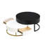 Tables basses modernes avec 2 tiroirs, plateau relevable et gigogne, attrait blanc et noir Surprise