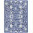 Oriental Indoor Rug-894795898