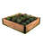 Mezza Raised Cedar Garden