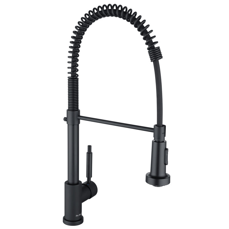 Pia Ricco Pull Down Kitchen Faucet
