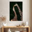 Girafes affectueuses-59916241