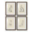 House Cat I - ensemble de 4 reproductions de cadres photo-739813374-739813347