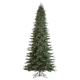 180' Lighted Fir Christmas Tree