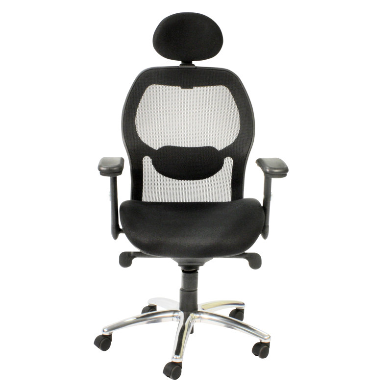 Symple Stuff Mesh Office Chair with Headrest