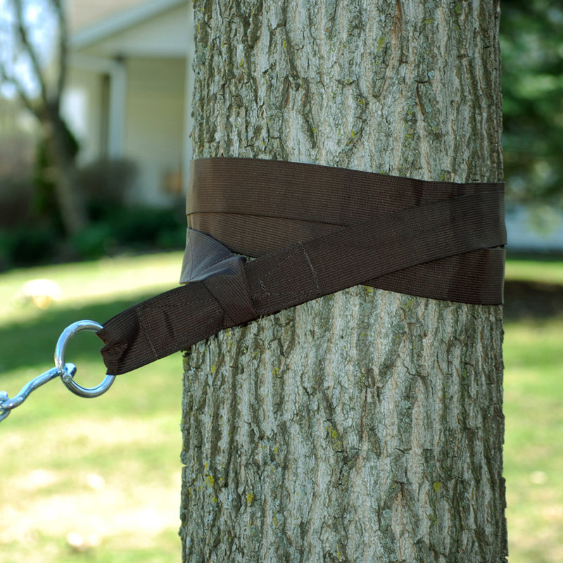 Sangles suspendues pour arbre