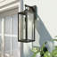 Schlesinger Matte Black Outdoor Wall Lantern-891558572