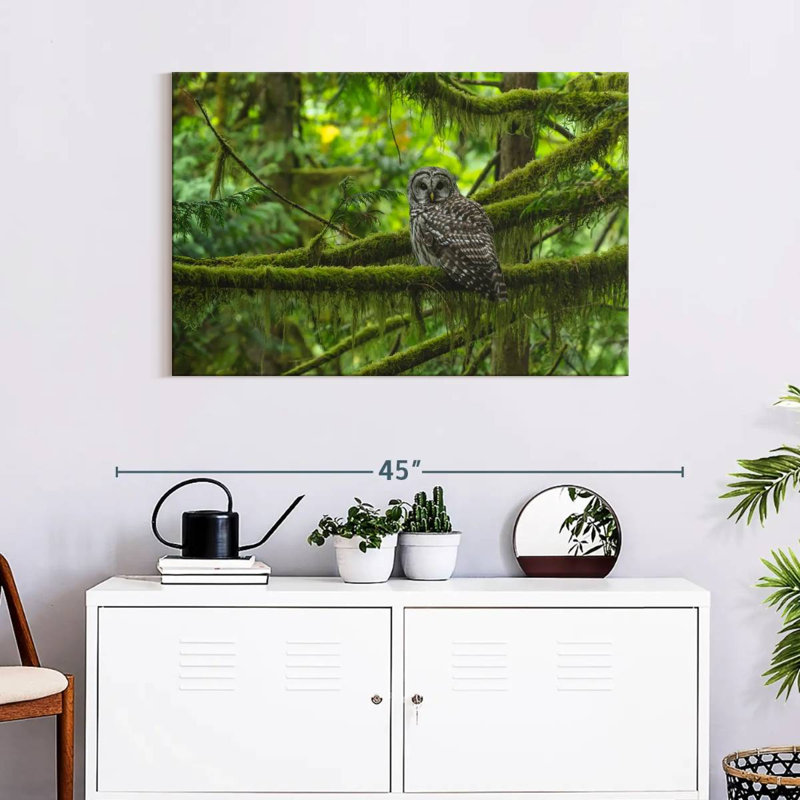 Brampt Mossy Tree Owl, 24" H x 36" W