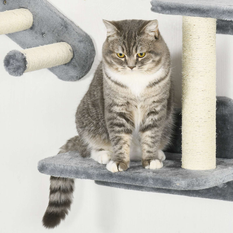 Choudhry Cat Perch