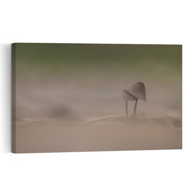 Misty Mushroom Pair Delicate Dreamy Organic Forest Nature Wall Art Print