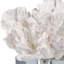 Flower Coral On Crystal Base