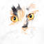 Aquarelle, visage de chat, gros plan - impression encadrée scandinave-121072892