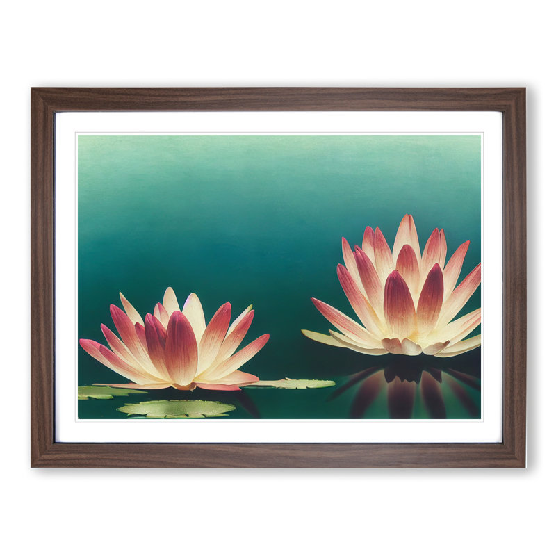 Sensational Water Lily Flowers - Framed Print, 46cm H x 64cm W x 2cm D, Walnut