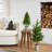 1.7' Pine Christmas Tree