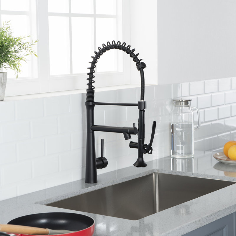 Fapully Pull Down Kitchen Faucet