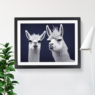 XH1022-9017X The Two Llamas Vol.3 - Single Picture Frame Print