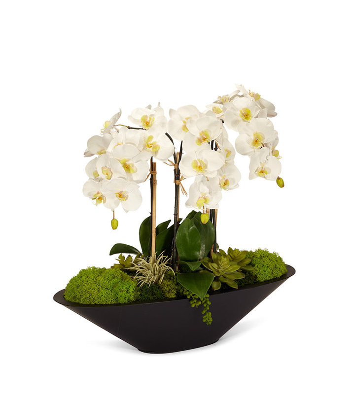 Orchid Floral Arrangement in Metal Planter, White