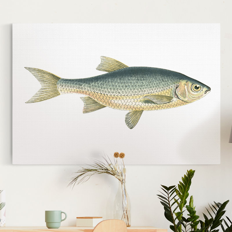 Petit poisson antique IV - reproduction sur toile, H 12 po x l 8 po x P 1 po
