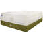 Whole Sleep 16'' Pillow Top Innerspring Mattress-411377133